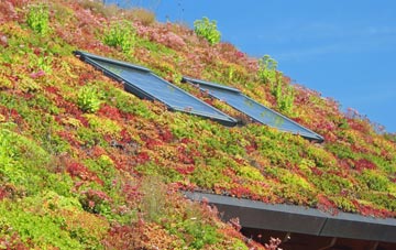 Pensby living roof systems